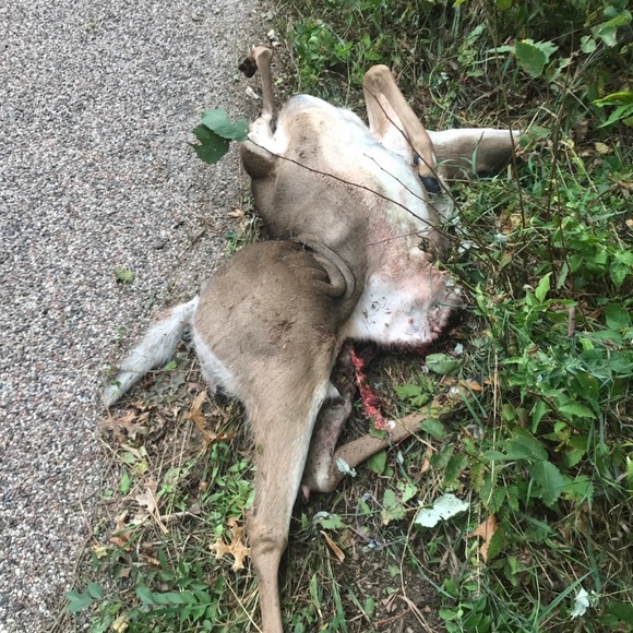 Meet your Posher, Michael - Picture 1 of 1